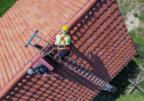 Best Siding  in Waynesville, MO
